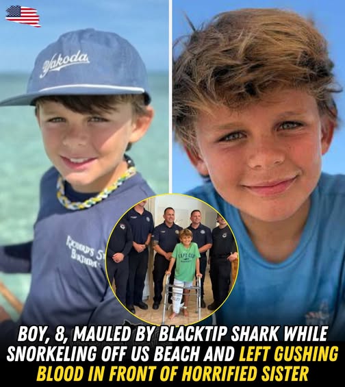 Brave 10-Year-Old Sister Saves Brother After Shark Attack in Florida