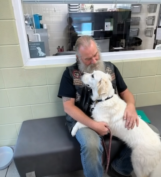 Biker Finds Golden Retriever on Bridge and a Letter That Changed Everything