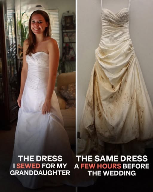 I Made a Wedding Dress for My Granddaughter – But Hours Before the Ceremony, It Was Destroyed