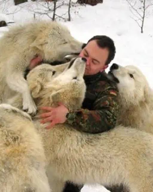 Through the Lens of Devotion — A Photographer’s Lifelong Love for Wolves