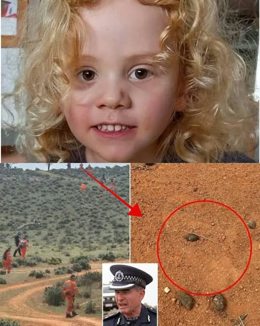 Desperate Search for 4-Year-Old Gus