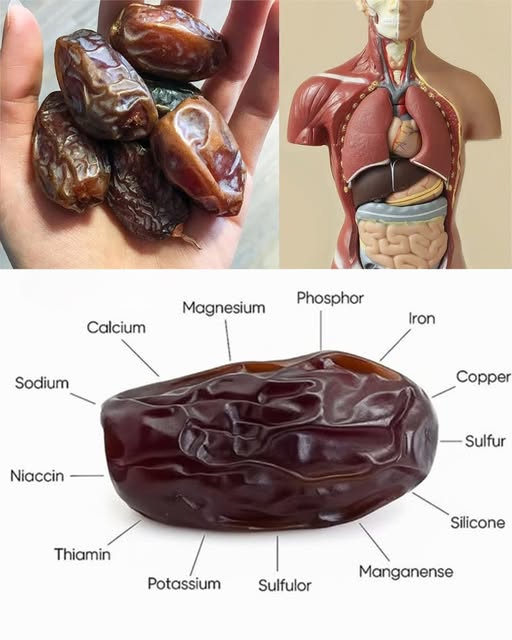 The Fruit That Can Help You Live Longer — Scientists Call It “Nature’s Candy”!