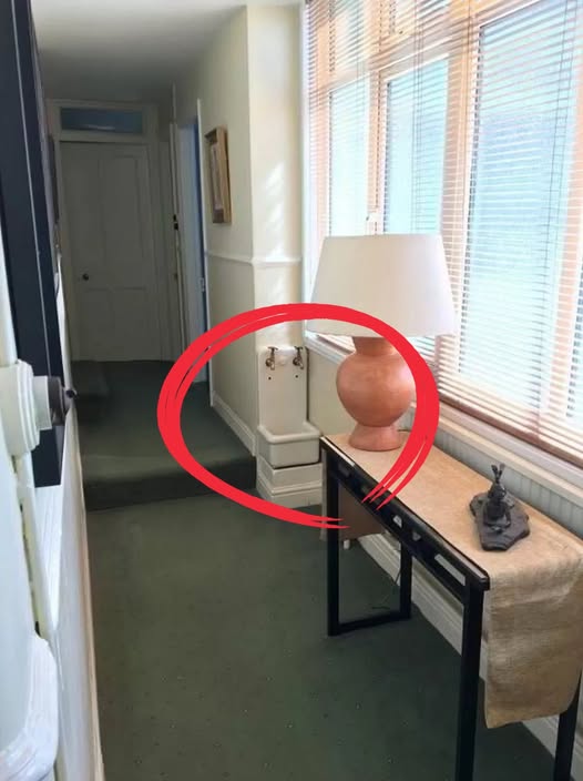 The Strange Mystery of Hallway Sinks