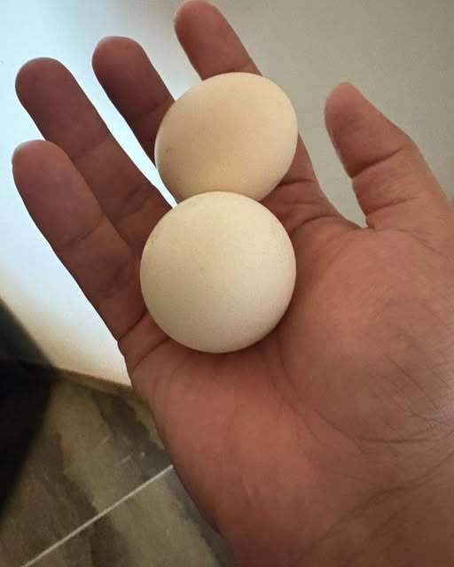 The Christmas Gift That Changed Everything