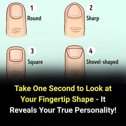 Discover Your Personality Through Your Fingertips