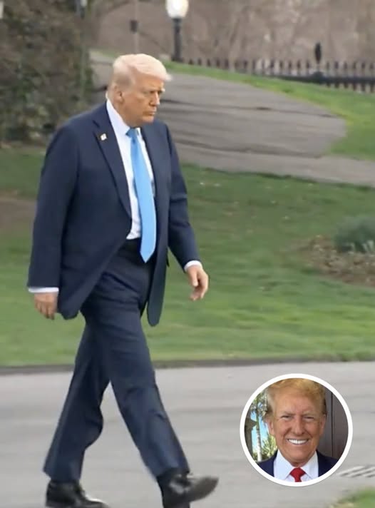 Trump’s Walk to Marine One Sparks Conversation After Notable Change Spotted