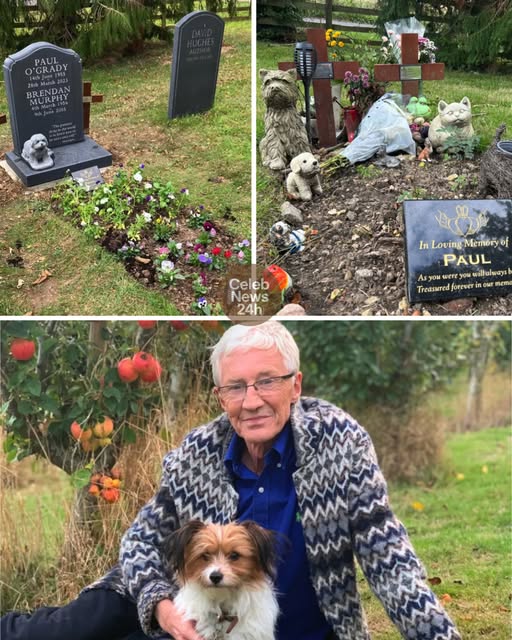 Two Lovers, One Grave: Paul O’Grady Finally Reunited with His Lost Love Brendan