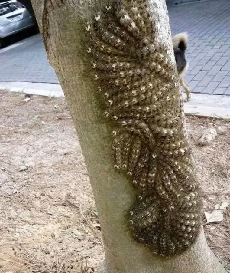 My Daughter Almost Touched Something That Could Have Ended in Tragedy