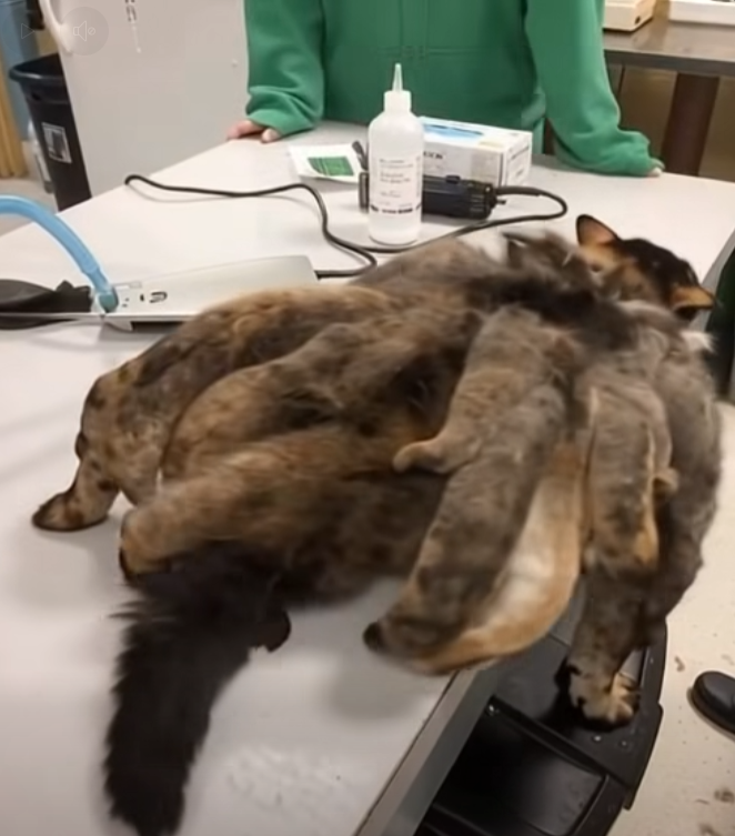 What They Found on the Street Left Everyone Speechless