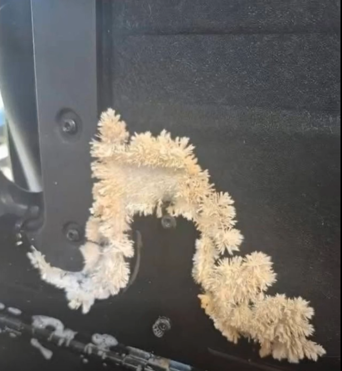 The Strange Object Under My Car Seat That Made My Heart Stop