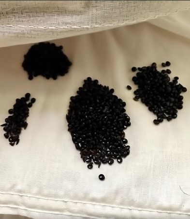 A Routine Cleaning Turned Mysterious