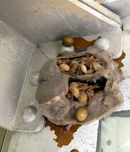 The Garage I Thought I Knew