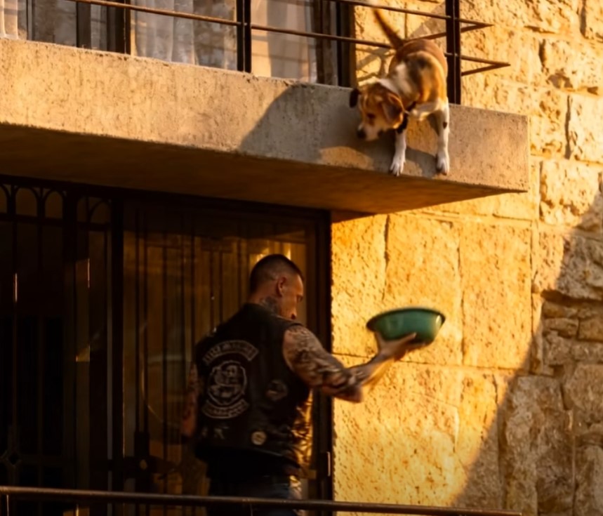 The Biker Who Appeared When Everyone Else Stayed Silent