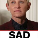 Ellen DeGeneres hit with lawsuit by woman for car crash