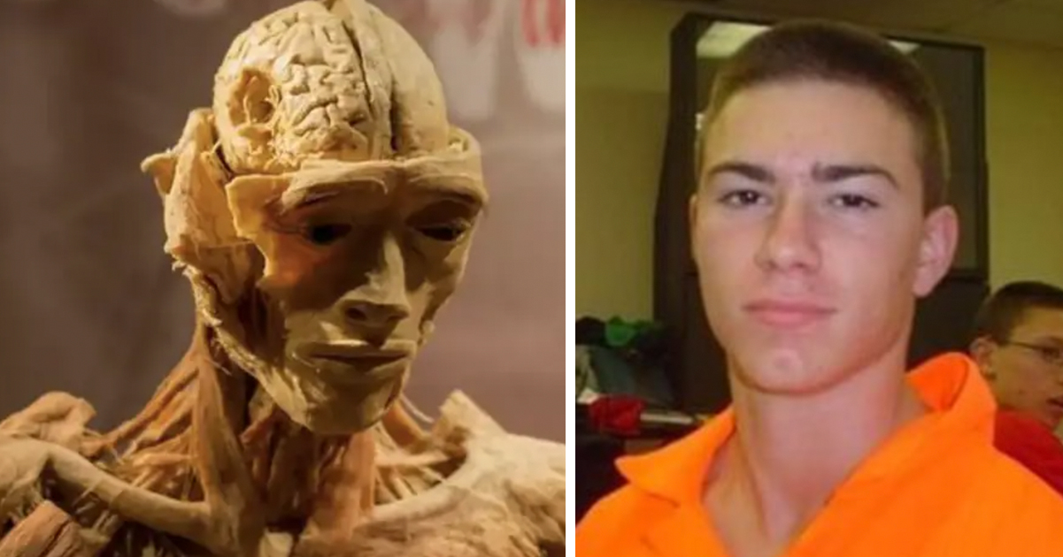 Las Vegas Exhibition Denies Mother’s Claim That Son’s Body Was Put on Display
