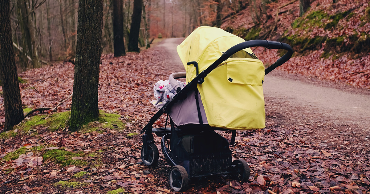 Drivers Warned: Never Stop to Investigate an Abandoned Stroller on the Roadside