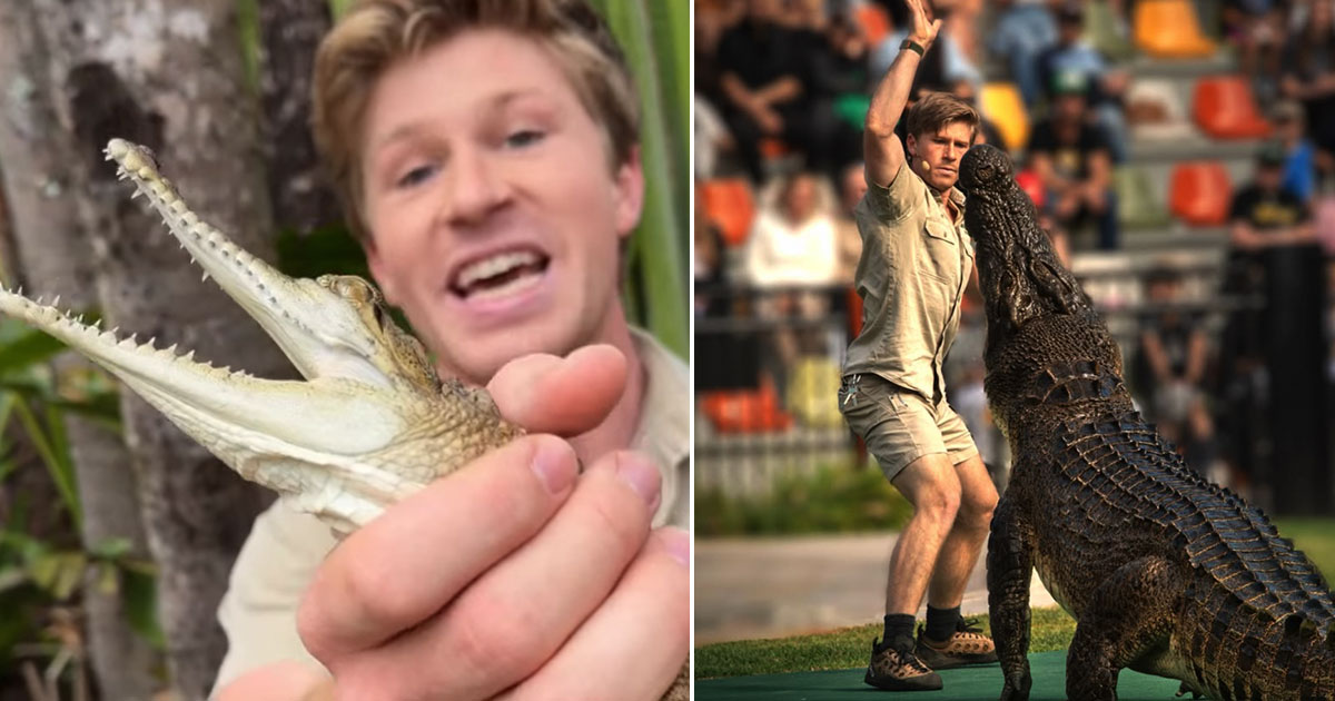 Robert Irwin Faces Social Media Backlash Following Televised Crocodile Enclosure Incident