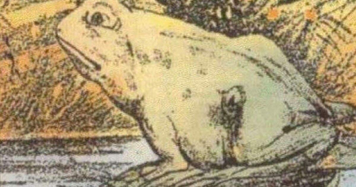 Only Sharp-Eyed Observers Can Spot the Hidden Horse in This Optical Illusion