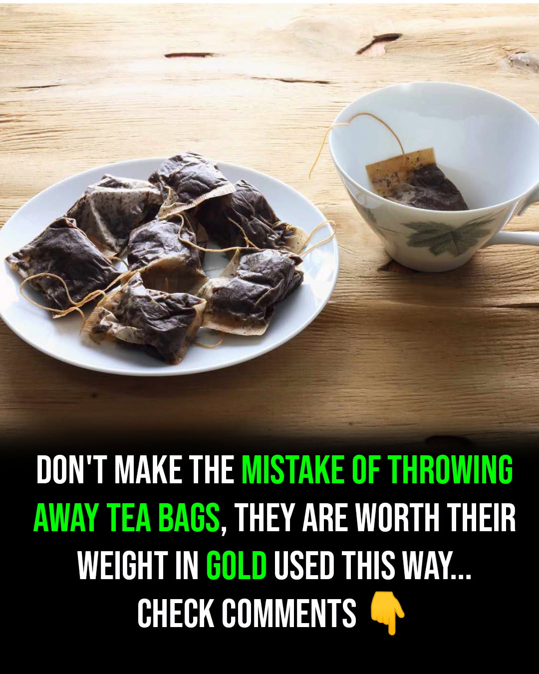 Don't Throw Away Your Tea Bags – 9 Reasons Why You Should Plant Them Instead!
